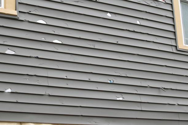 Affordable Siding Repair and Maintenance Services in Goodwater, AL